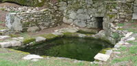 P1050774.JPG