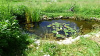 P1000251.JPG