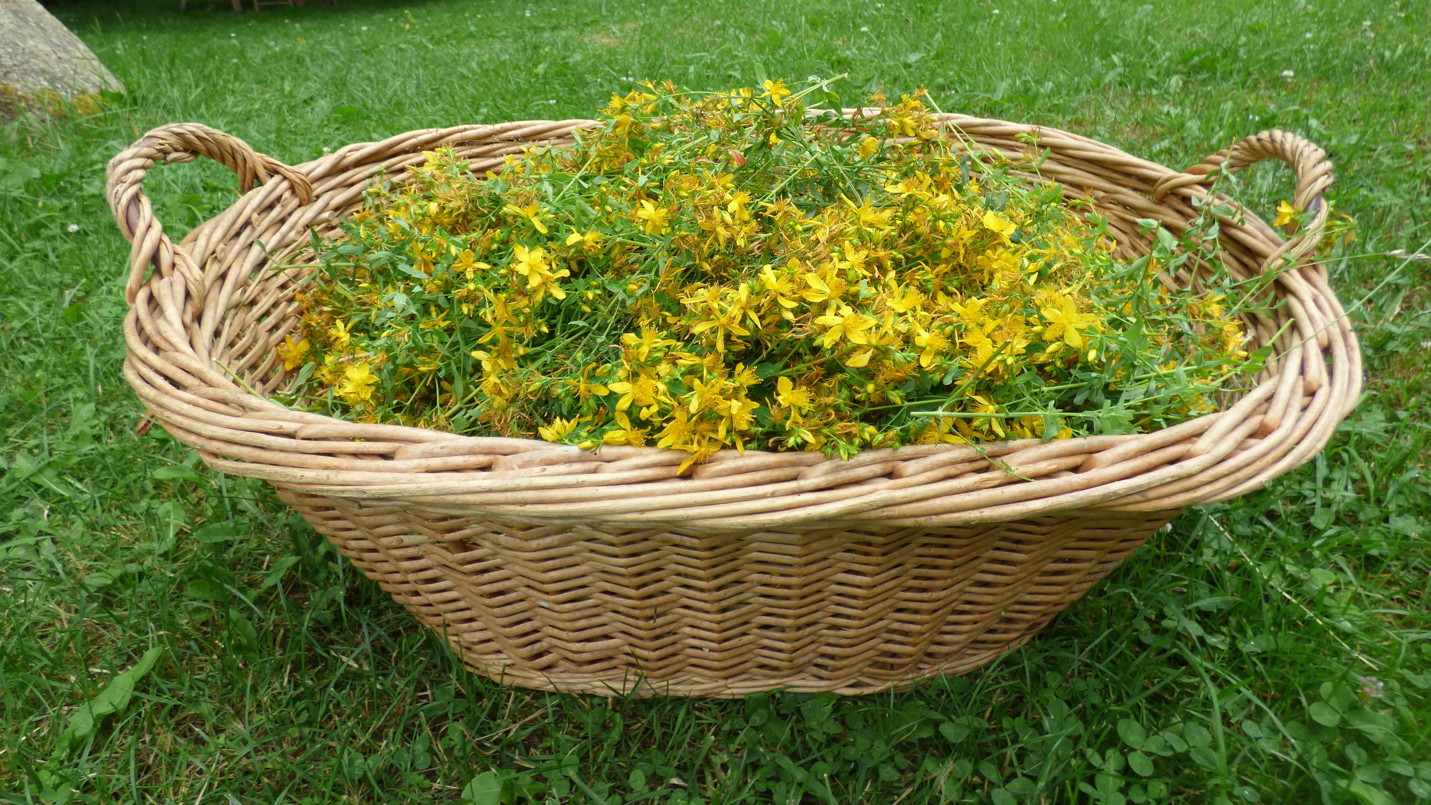 P1000410.JPG