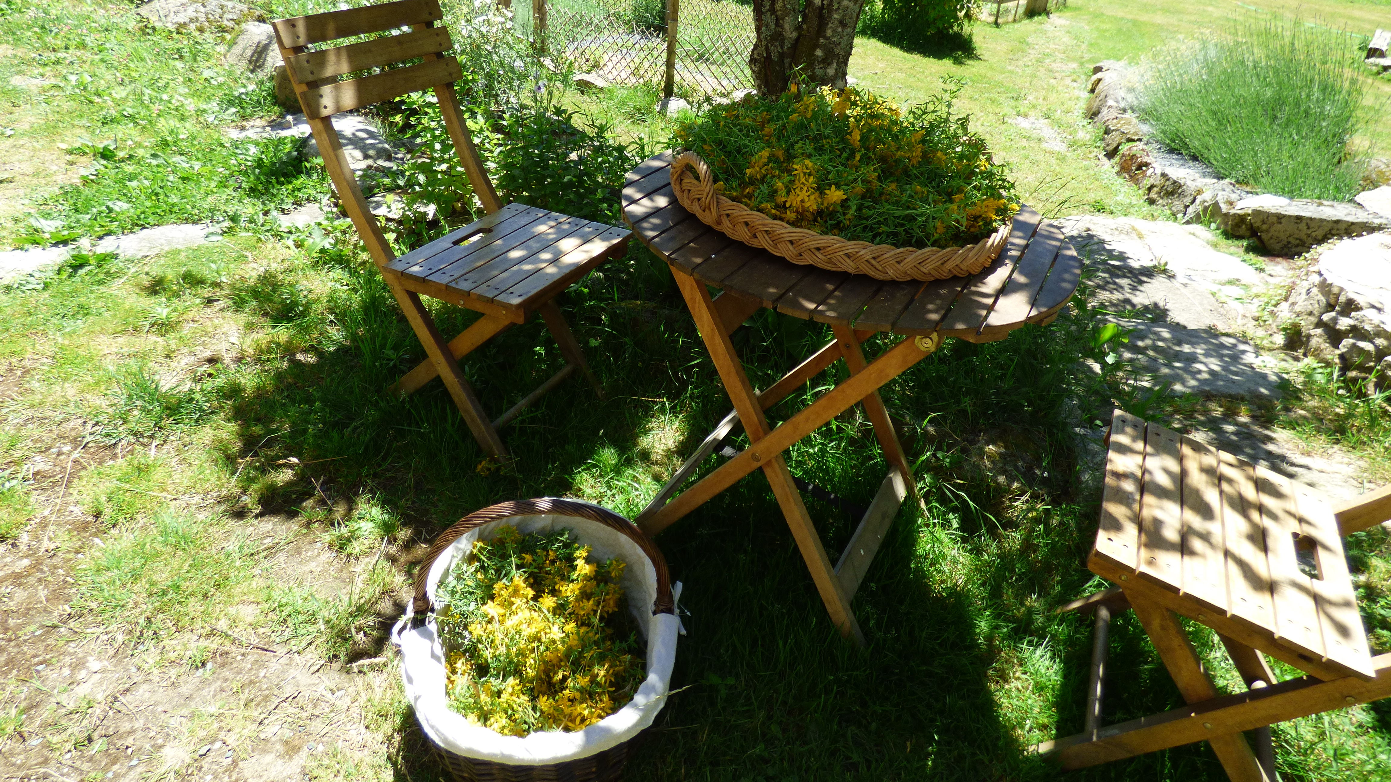 P1000334.JPG