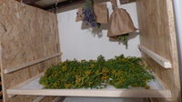 P1000336.JPG