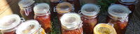 P1000541.JPG